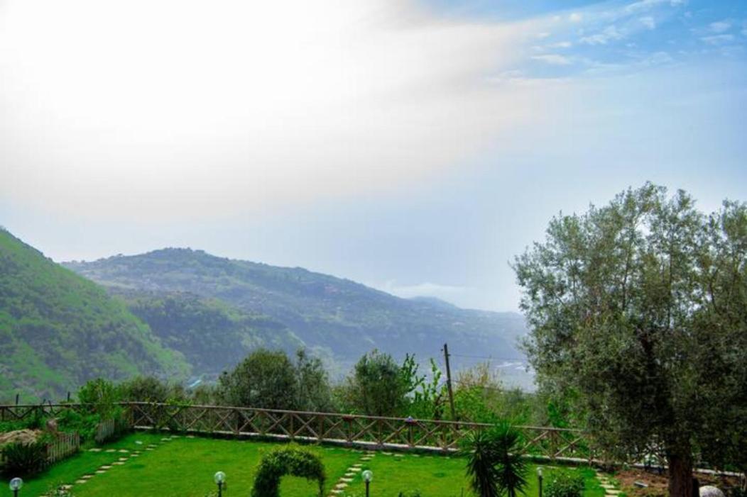 Villa Aurora Oasi Verde سورينتو المظهر الخارجي الصورة