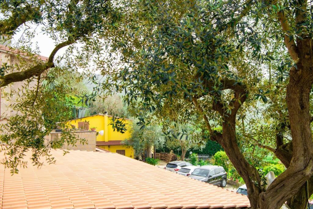 Villa Aurora Oasi Verde سورينتو المظهر الخارجي الصورة